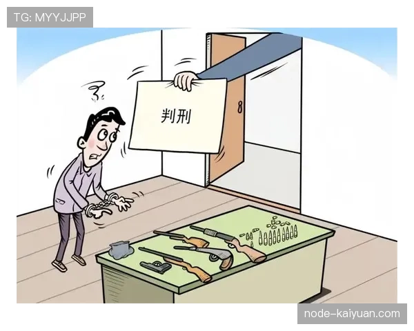 判罚争议中的裁判判定标准及其影响分析