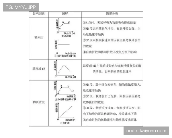佩德里与穆西亚拉控场和突破能力对比分析